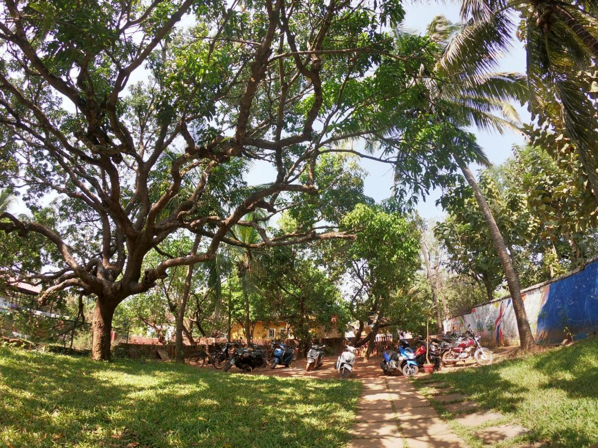 Gaia Hostels Anjuna Dış mekan fotoğraf